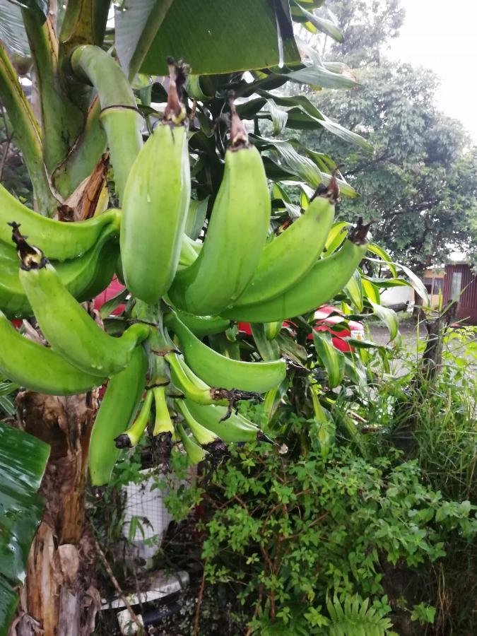Monteverde Ecolove Dış mekan fotoğraf