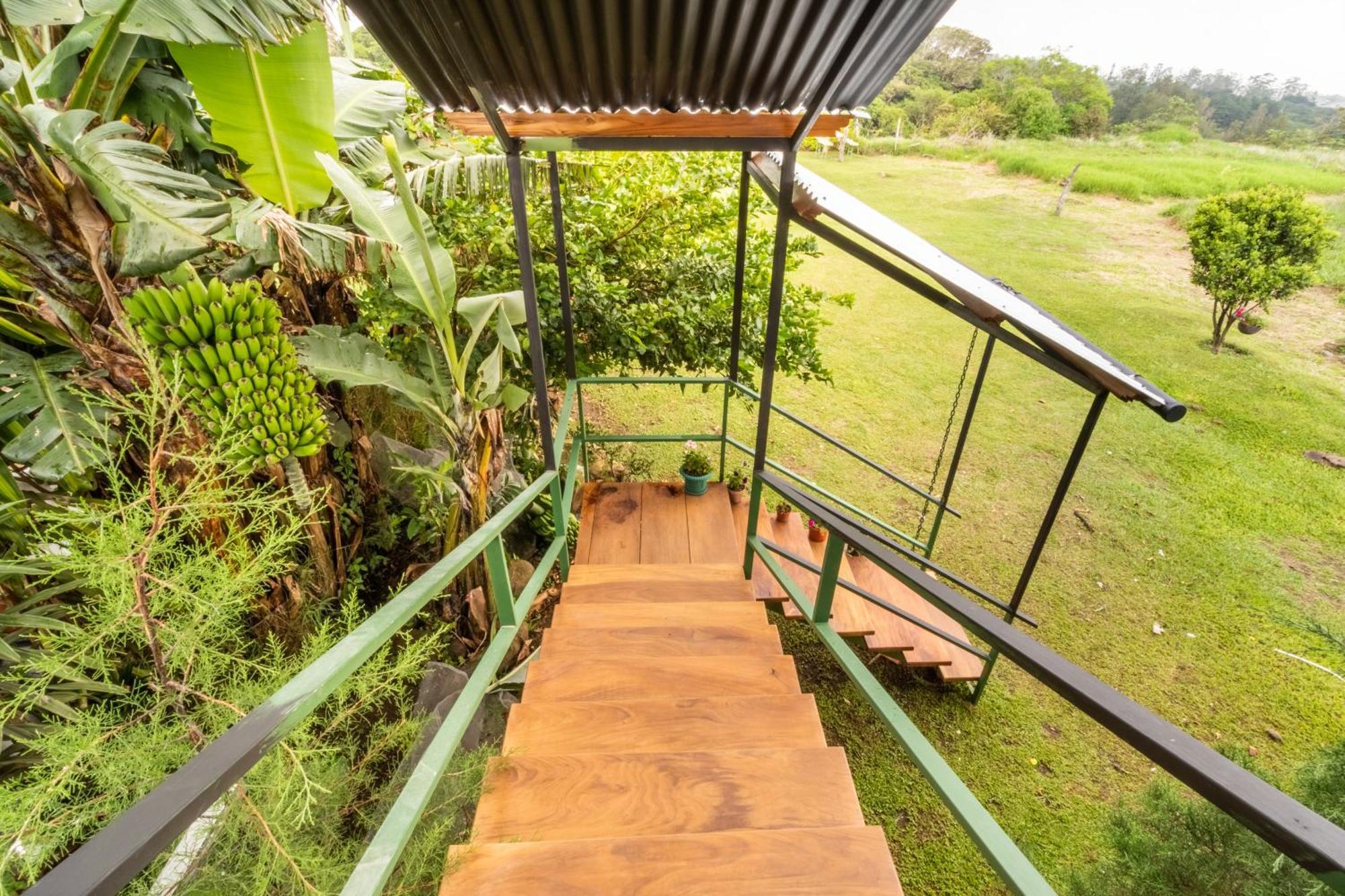 Monteverde Ecolove Dış mekan fotoğraf