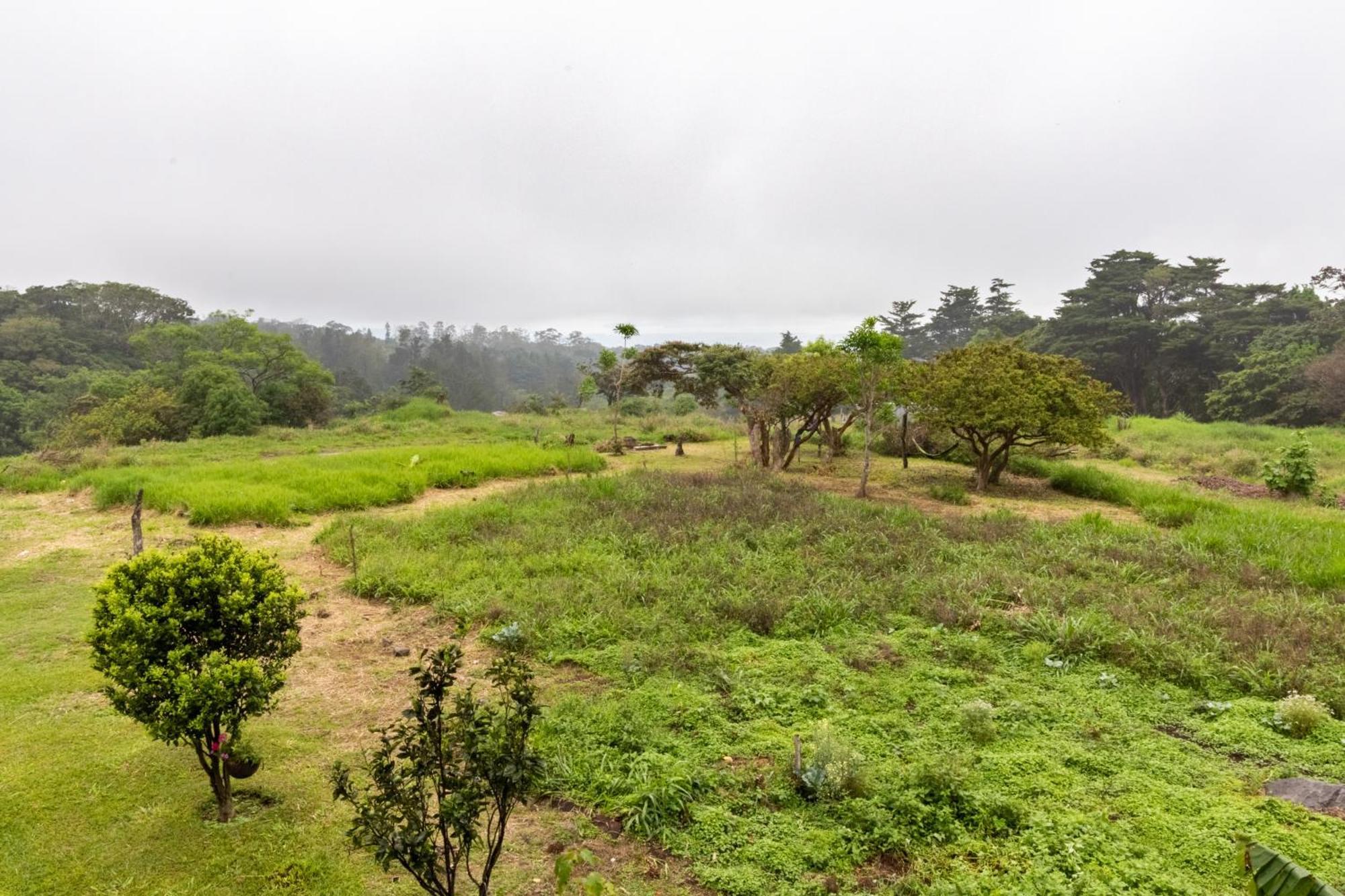 Monteverde Ecolove Dış mekan fotoğraf
